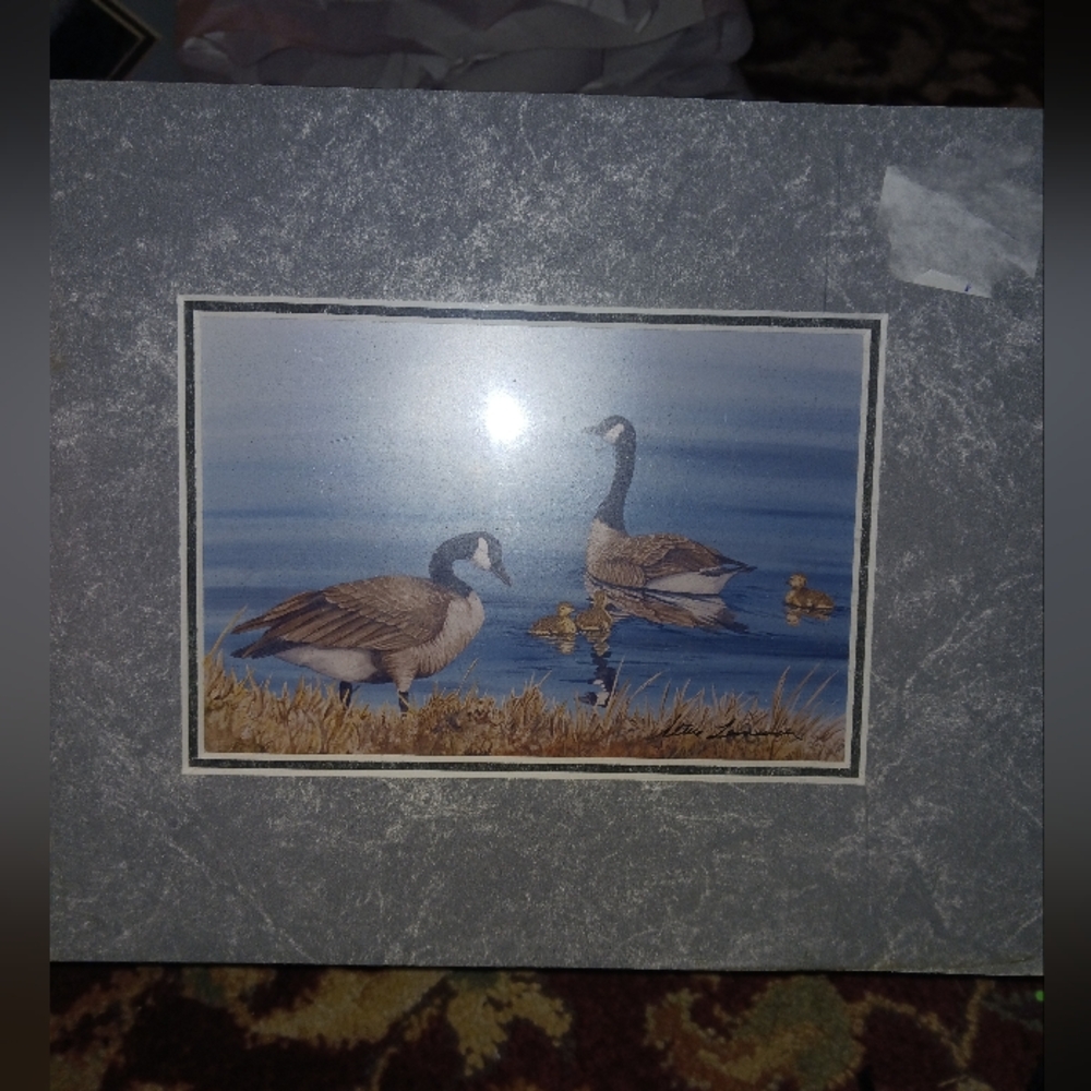 Gray Matted Goose Print